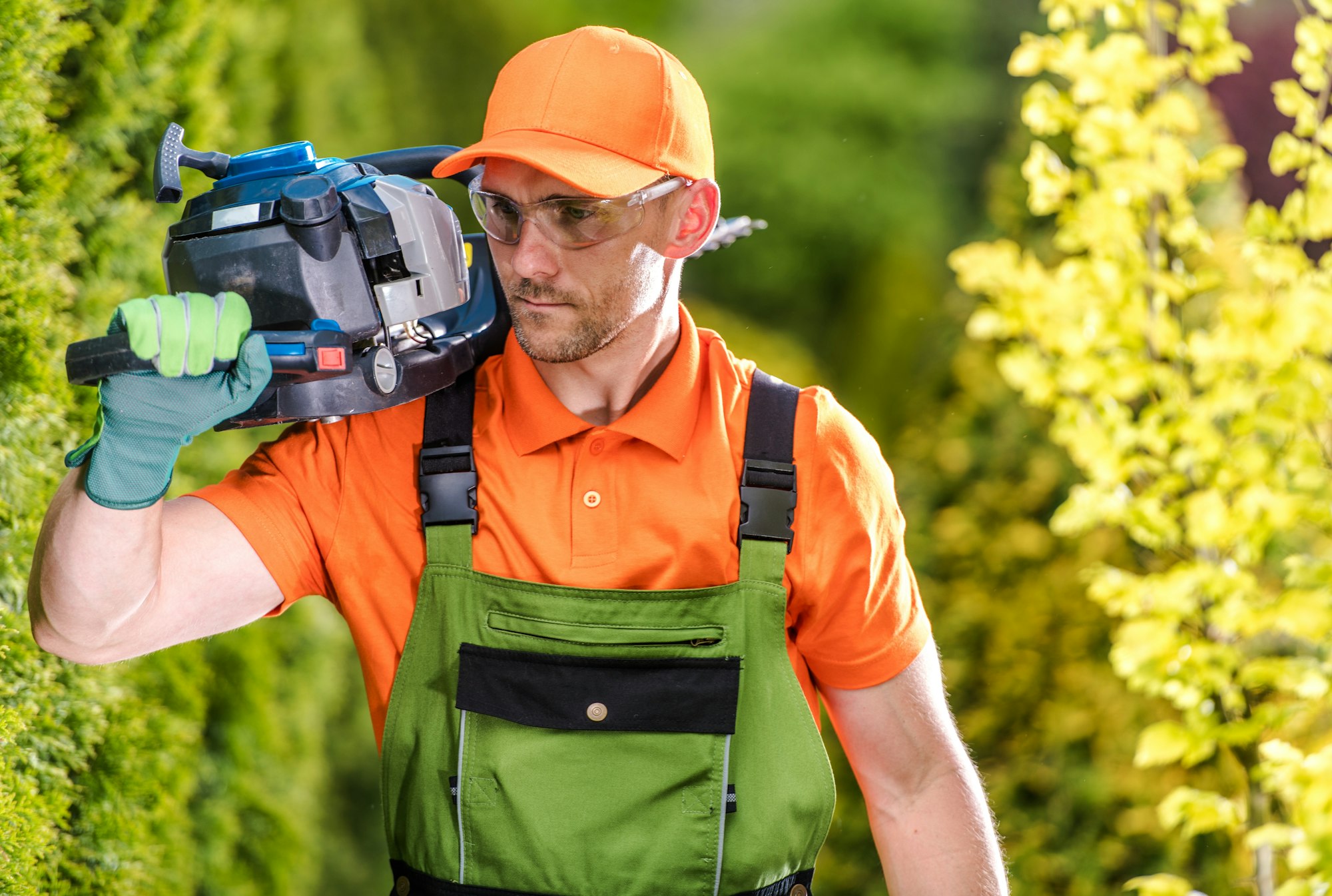 Hedge and Trees Trimming
