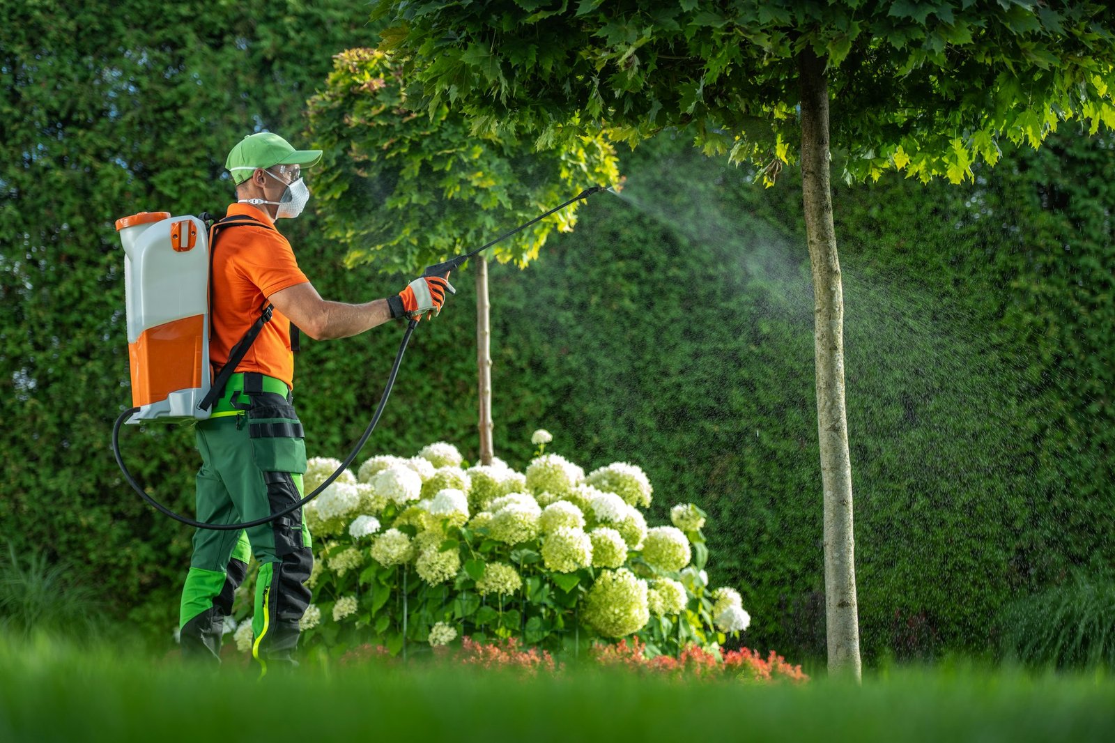 Insecticide or Fungicide on a Garden Trees